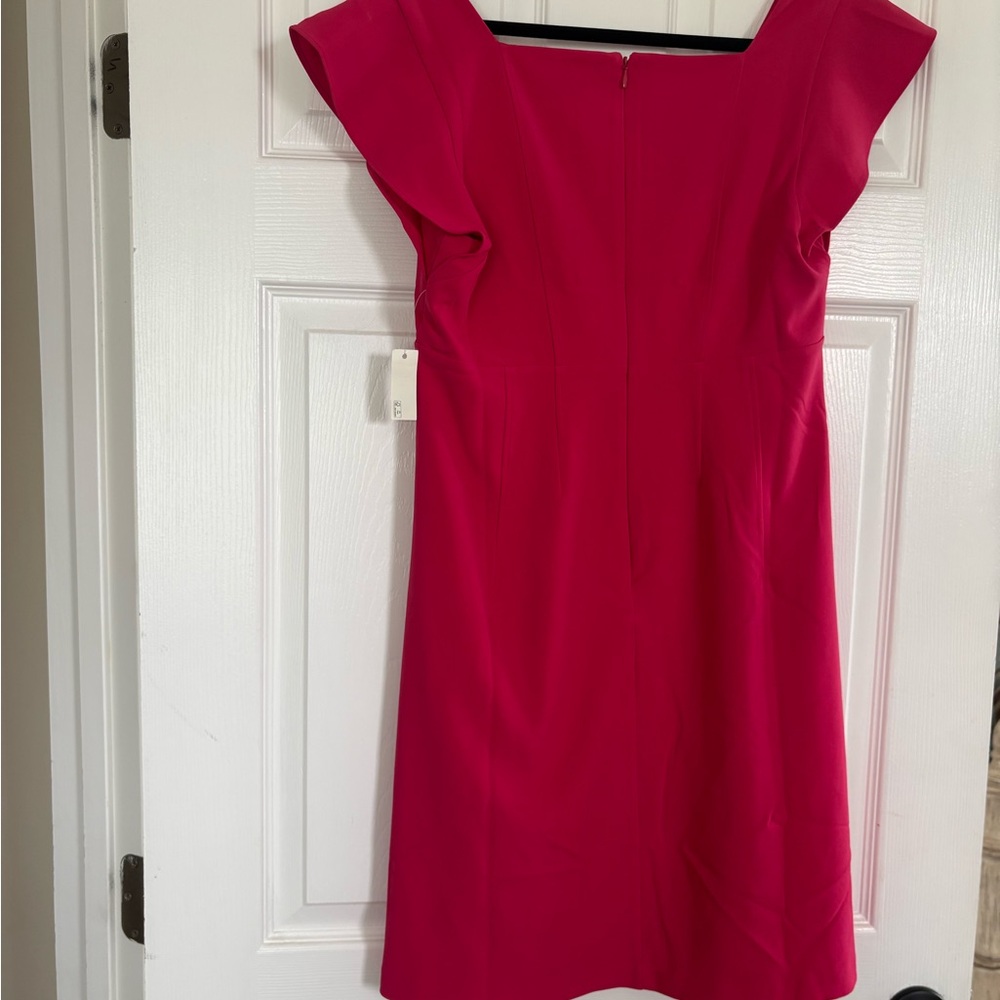 Lark & Ro Hot Pink Cap Sleeve Sheath Dress